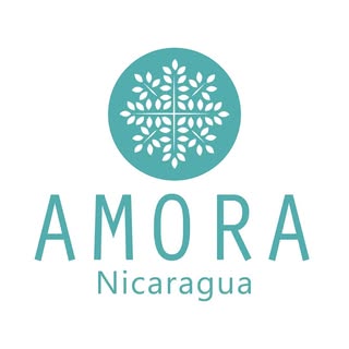 Amora Nails logo