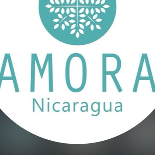 Amora Nails logo